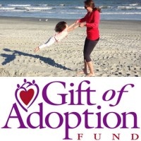 Gift Of Adoption Fund Company logo