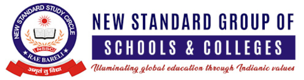 New Standard Group of Institutes Company logo