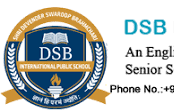 DSB International Public School Company logo