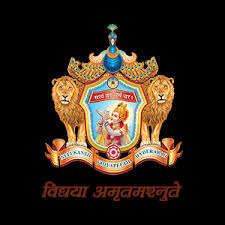 SNVP International School, Hyderabad. Company logo