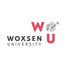 Woxsen University Company logo