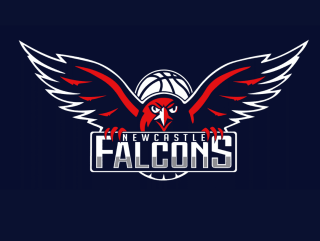 Newcastle Falcons Company logo