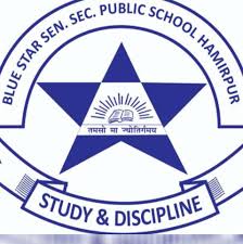 Blue Star Public Senior Secondary School Company logo