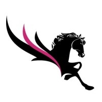 Imperium Commodity Search Company logo