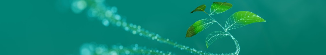 Infineon Technologies Company banner