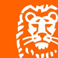 Ing Turkiye Company logo