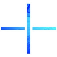 Insightec Company logo