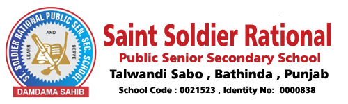 Saint Soldier Rational Public School Company logo