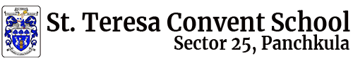 St. Teresa Convent School Company logo