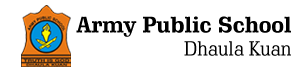 APS Dhaula Kuan Company logo