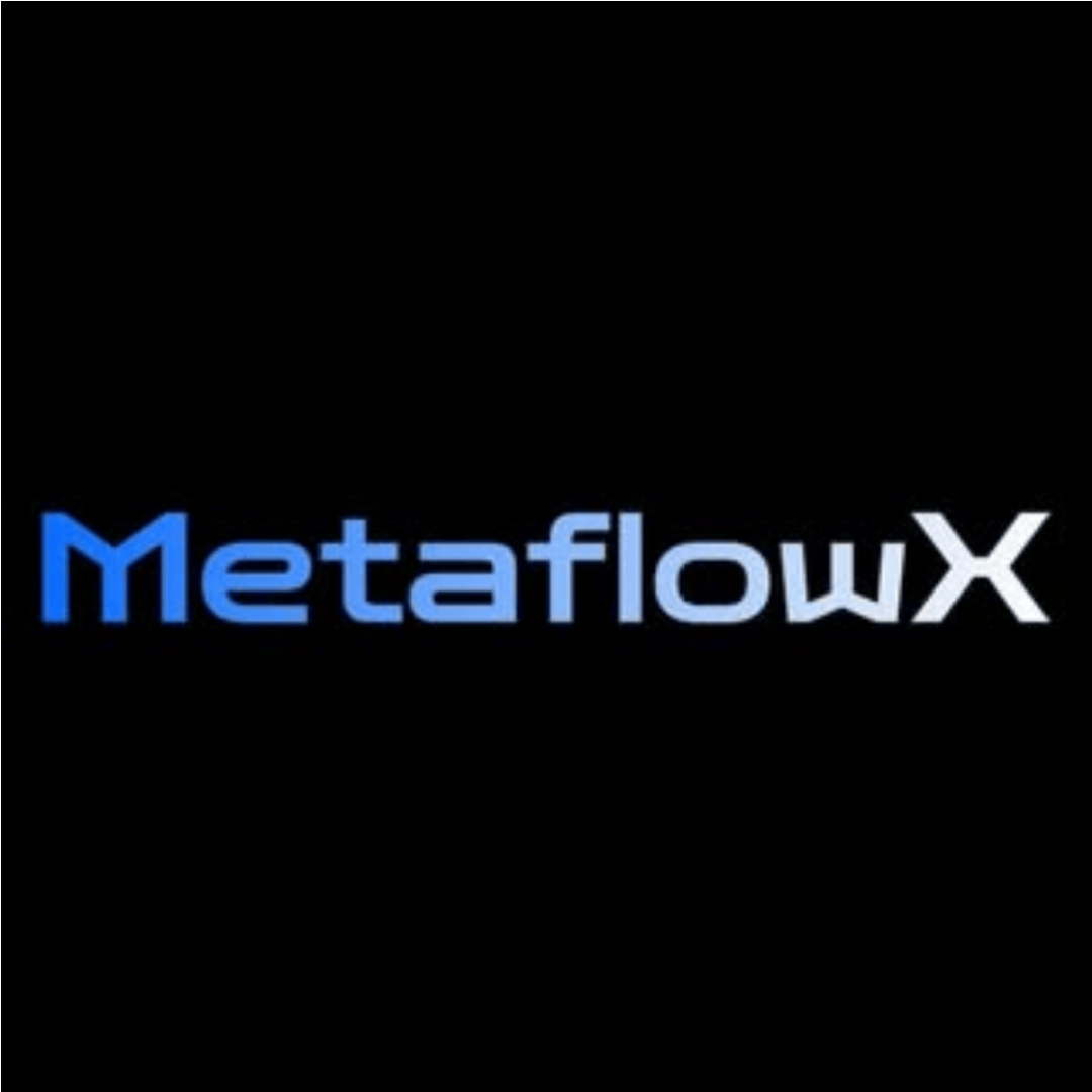 MetaflowX Labs Company logo