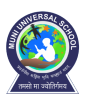 Muni Universal School Company logo