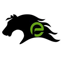 Mustang Extreme Environmental Services Company logo