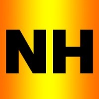 New Horizons Company logo