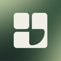 Nonlinear Company logo