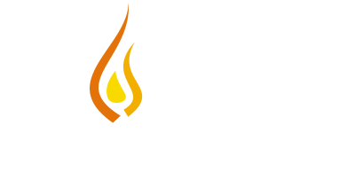 NPS International School Company logo