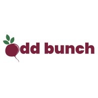 Odd Bunch Company logo