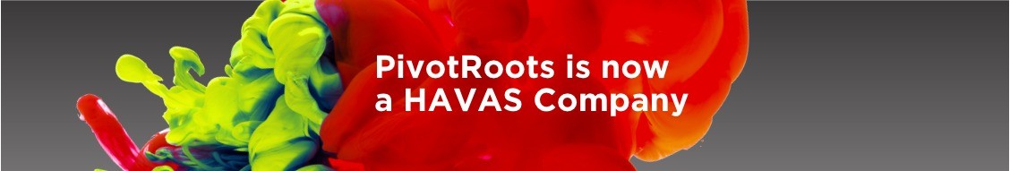 PivotRoots Company banner