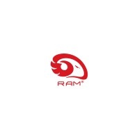 Ram Egypt Company logo