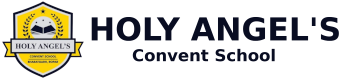 Holy Angel Convent School Company logo