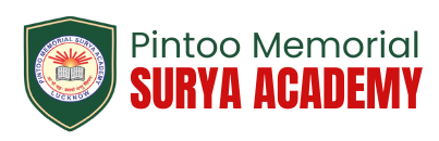 Pintoo Memorial Surya Academy Company logo