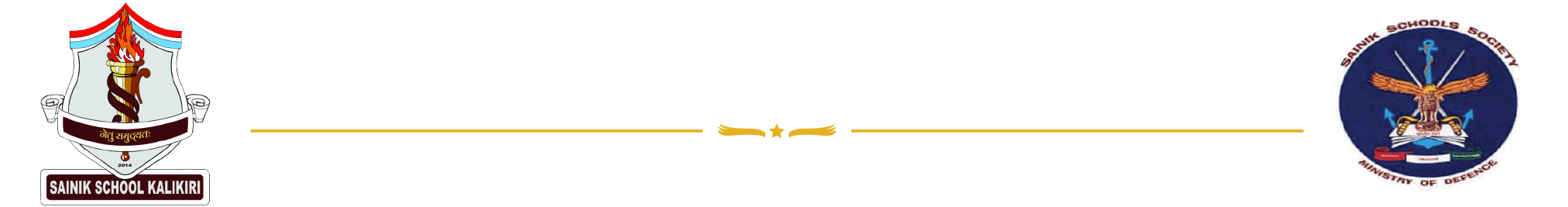 Sainik School Kalikiri Company logo