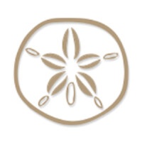 Sand Dollar Dubai Beachwear Boutique Company logo