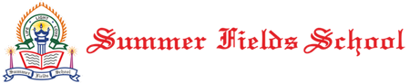 Summerfields School, New Delhi Company logo