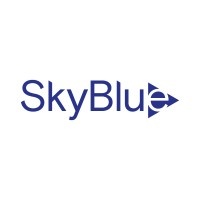 Skybluemedia Uae Company logo