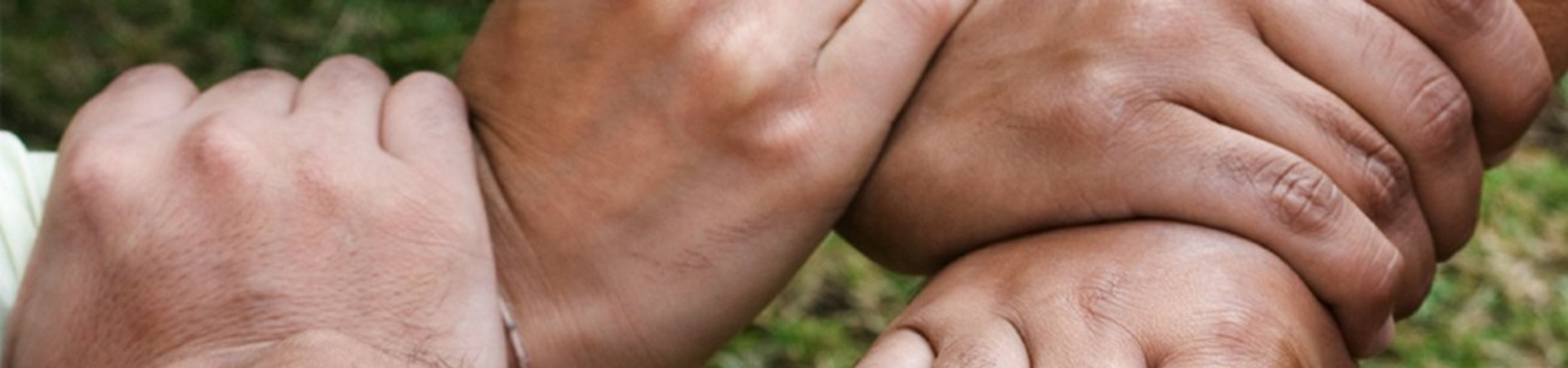 Soziale Initiative gemeinnützige GmbH Firmenbanner