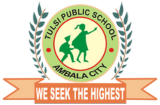 Tulsi Public School Saplings Company logo
