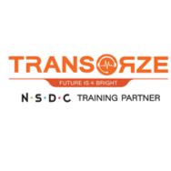 Transorze Information Processing Solutions Pvt. Ltd. Company logo