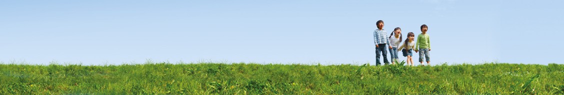UOB Company banner