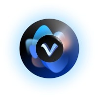 Voicevalet Company logo