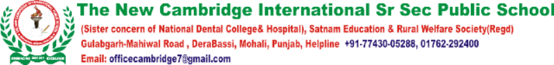 The New Cambridge International Public School Company logo