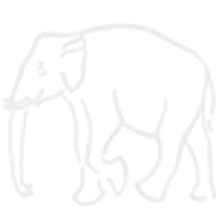 Welham Boy's School Dehradun Company logo