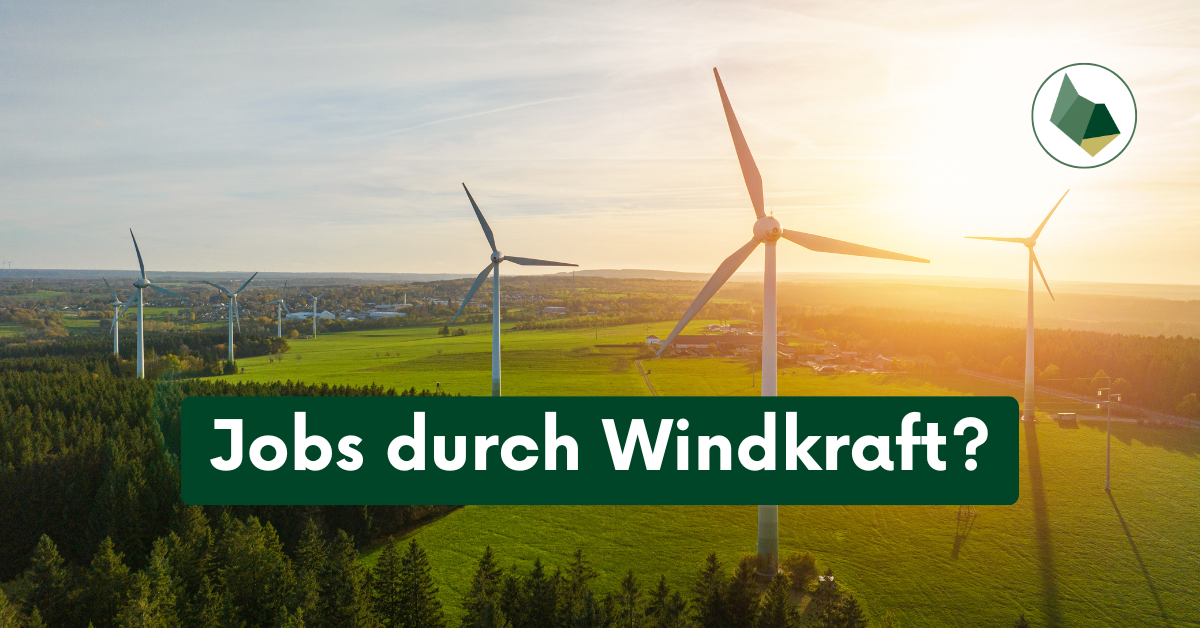 Windkraft im Mühlviertel: Zwischen Aufbruch & Widerstand – welche Jobs jetzt entstehen