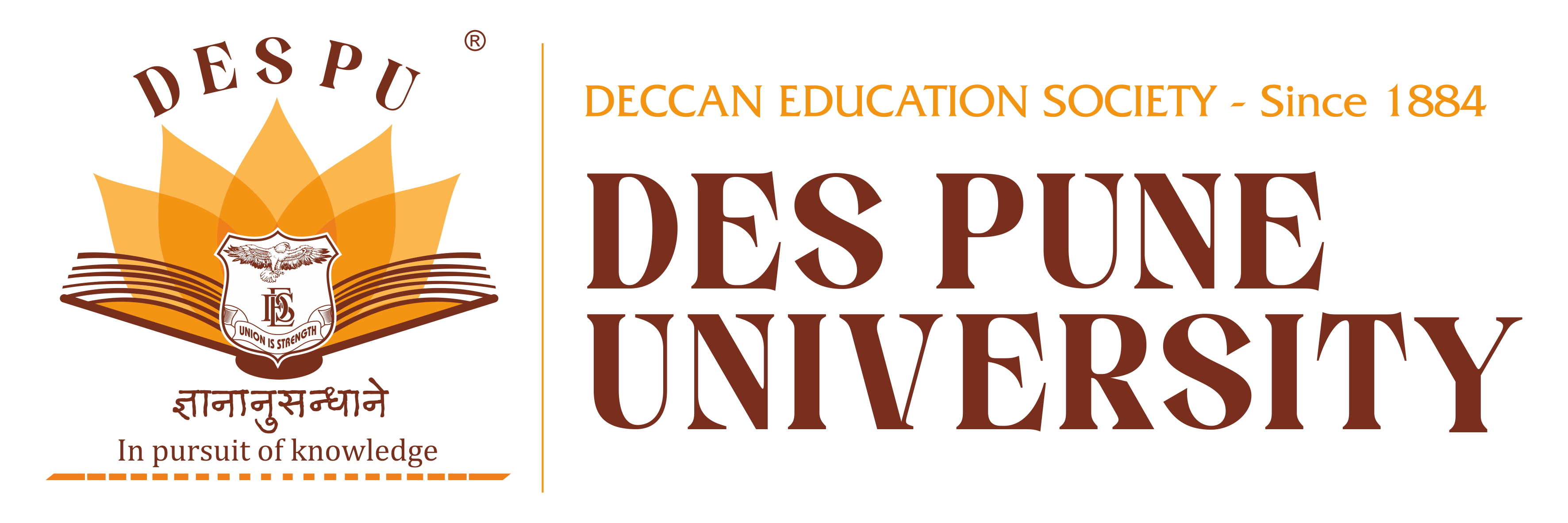 DES Pune University Company logo
