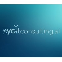 Yo It Consulting Company logo