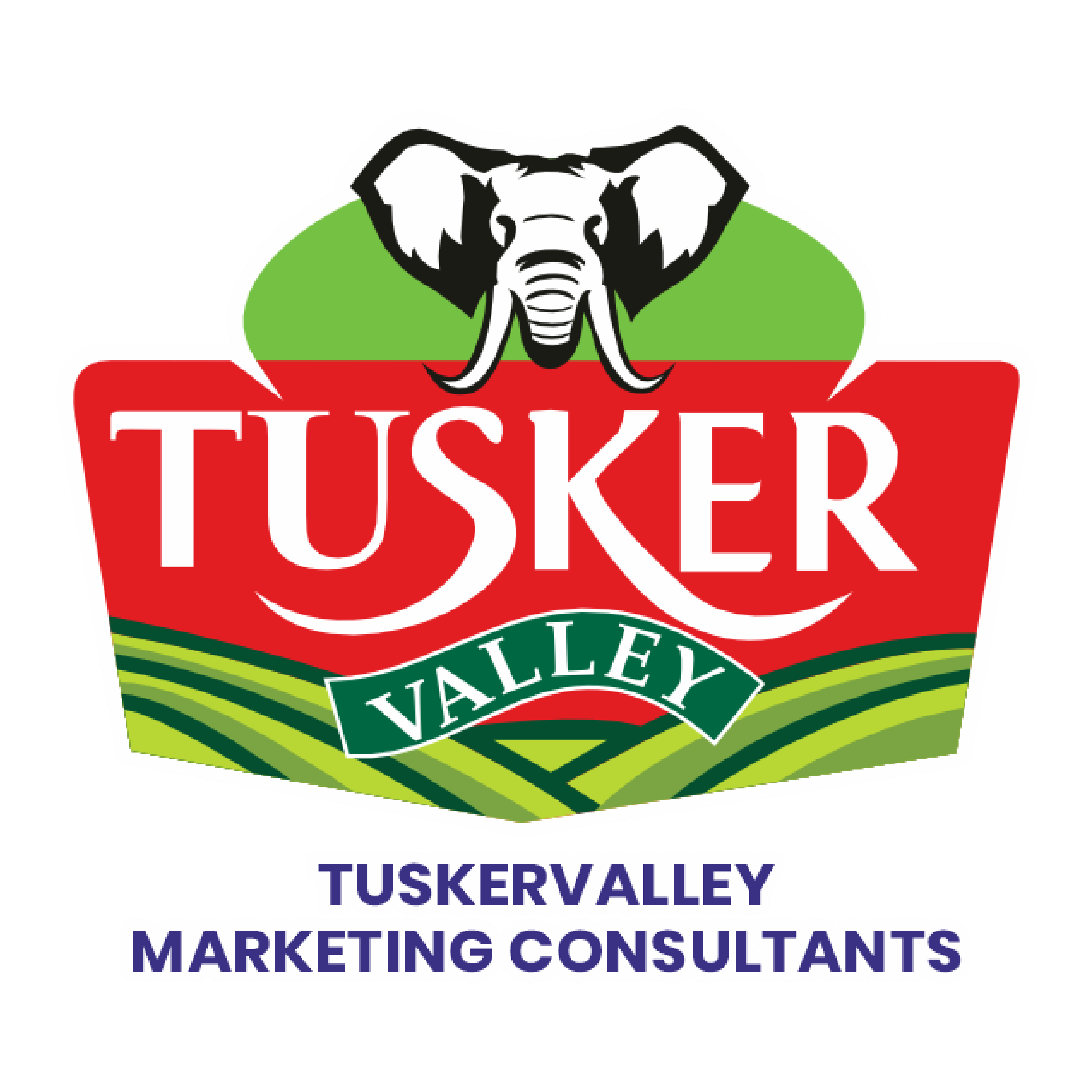 Tusker Valley Marketing Consultants Company logo