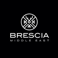 Brescia Middle East Company logo
