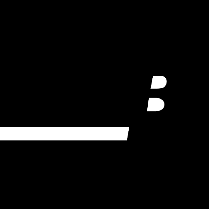 A BLUNT STORY Company logo