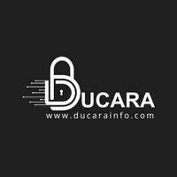 Ducara Info Solutions P Limited Company logo