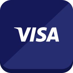 Visa Inc Company logo