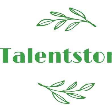 Talentstone Search Company logo
