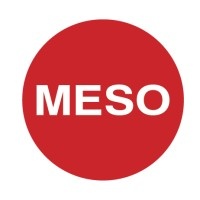 Meso Private Limited Company logo